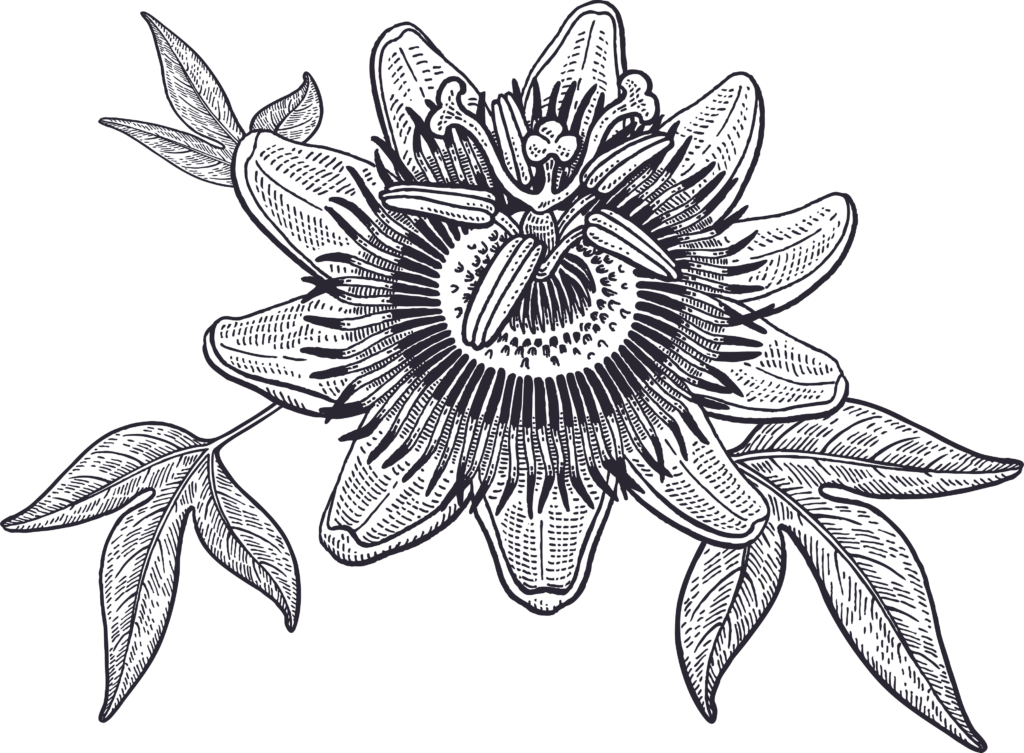 Flower Essence Therapy