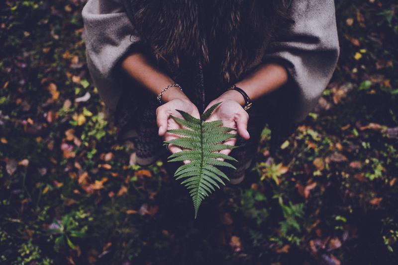 Doula work - Private coaching/mentorship - Rituals for the Autumn Equinox