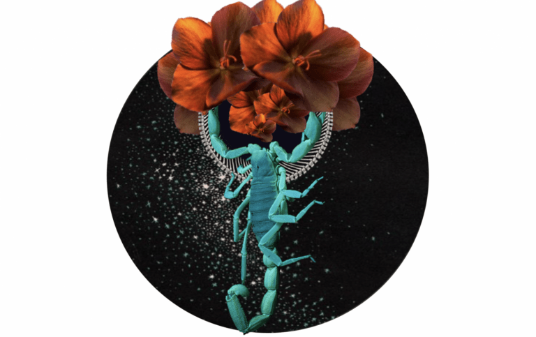 Doula work - Scorpio New Moon