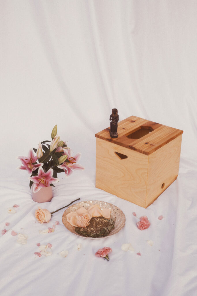 Womb healer training