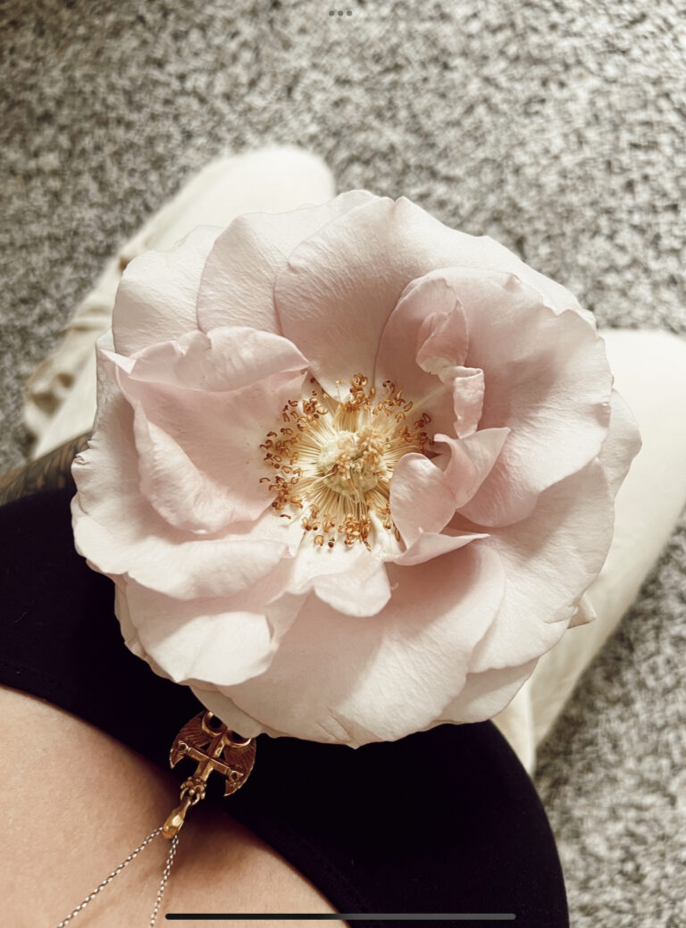 Way of the Rose