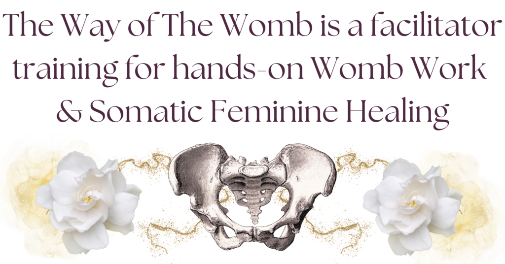 Women’s womb healer training