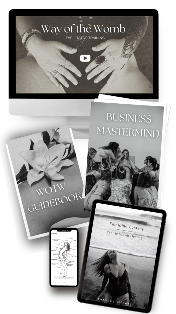 Course to become a womb healer