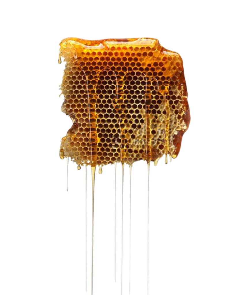 Sacred sexuality course for women