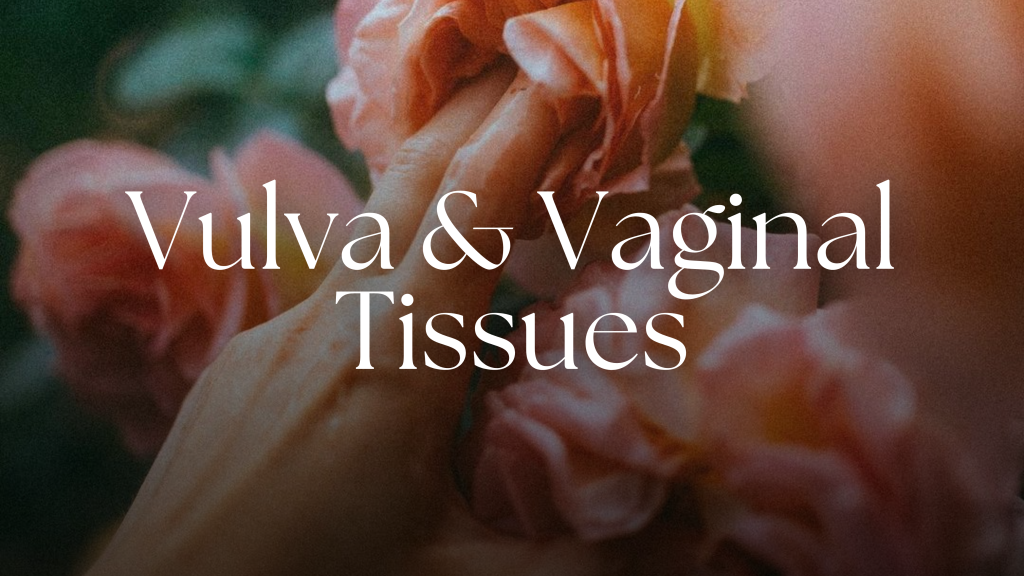 Yoni healing and dear mourning course for women