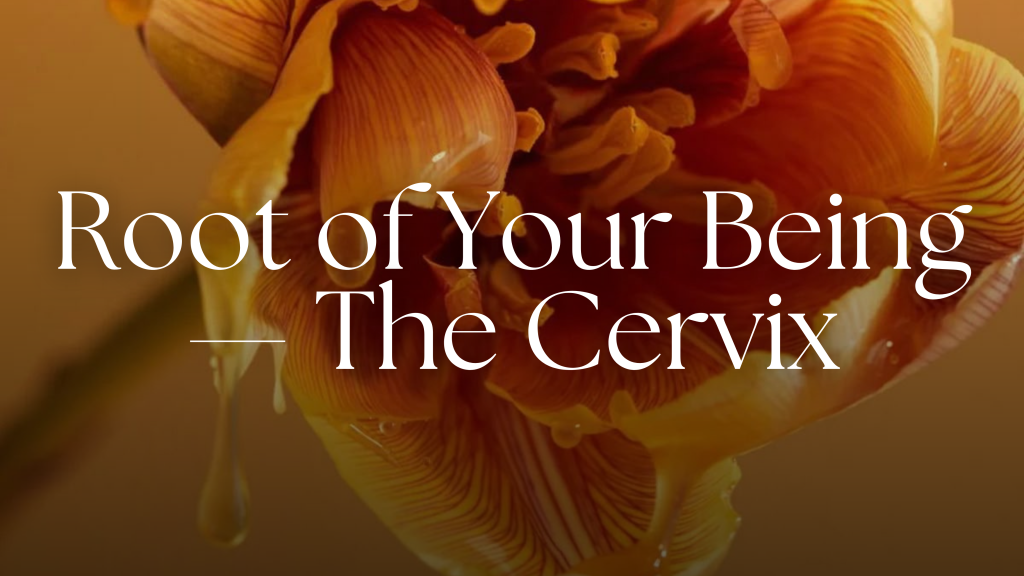 How to heal my cervix