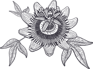 Flower Essence Therapy